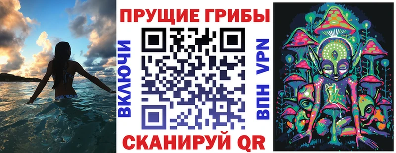 магазин    Талица  дарк нет клад  Галлюциногенные грибы ЛСД 