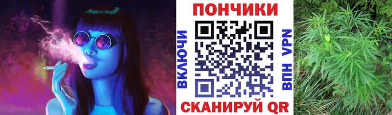 Бошки Шишки семена  Талица 